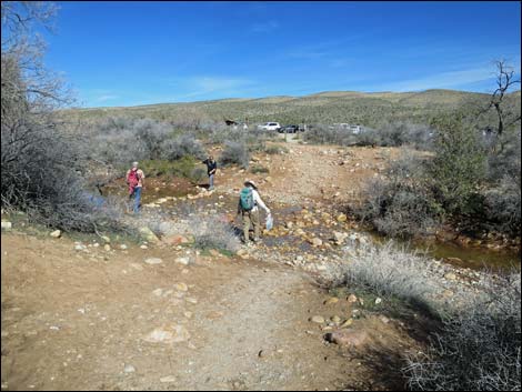 First Creek Canyon