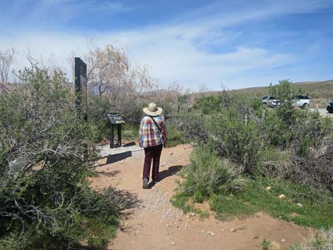 First Creek Canyon