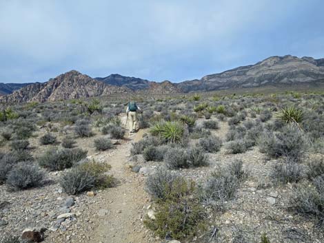 Grand Circle Trail