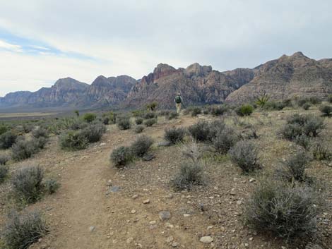 Grand Circle Trail