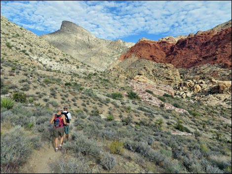 Kraft Mountain Loop