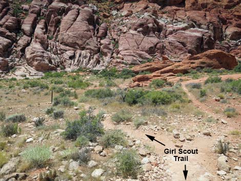 Girl Scout Trail