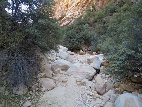 Ice Box Canyon