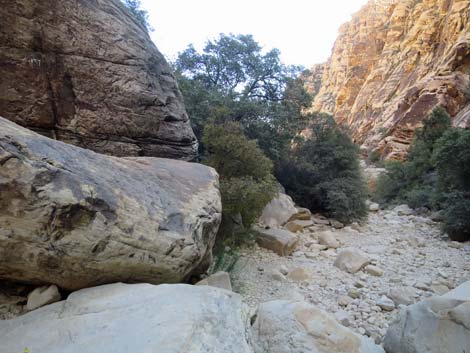 Ice Box Canyon