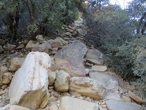 Ice Box Canyon