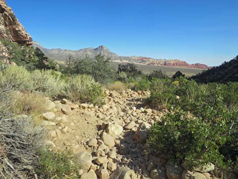 Ice Box Canyon