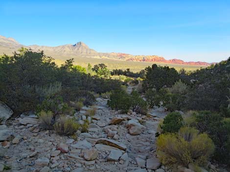 Ice Box Canyon