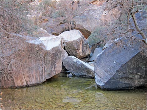 Icebox Canyon