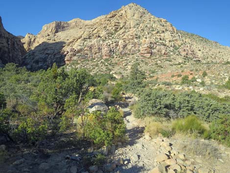 Ice Box Canyon