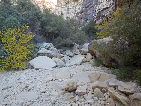 Ice Box Canyon