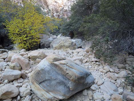 Ice Box Canyon