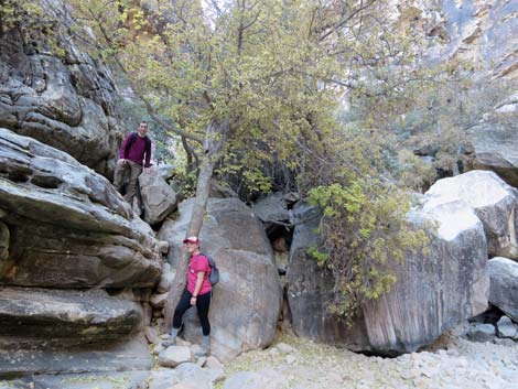 Ice Box Canyon