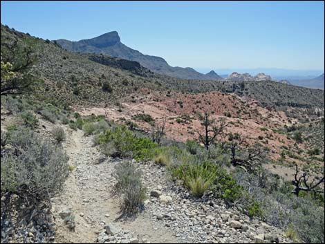 Keystone Thrust