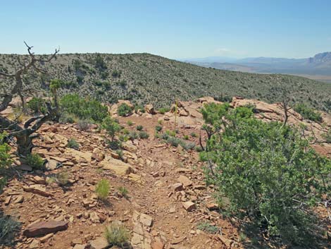 Keystone Loop