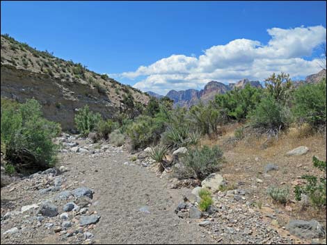 Keystone Loop