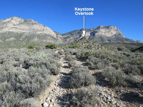 Keystone Basin Overlook