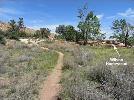 Pine Creek Canyon Trail