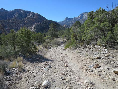 White Rock Loop Trail