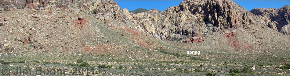 Lone Grapevine Spring Trail