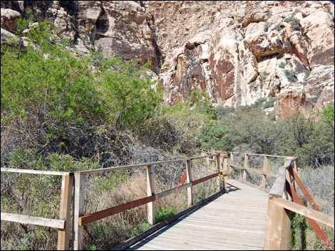 Willow Springs Loop Trail