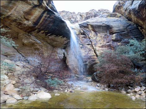 Lower Lost Creek Falls