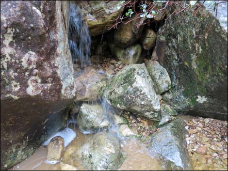 Lower Lost Creek Falls