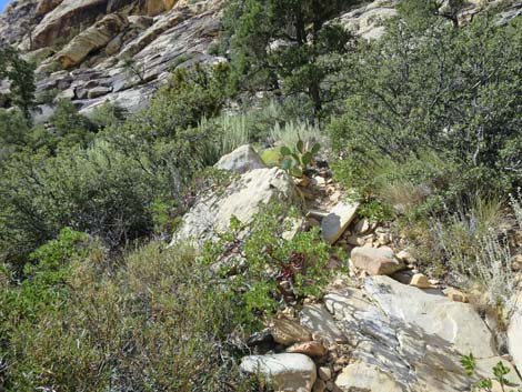 Upper Lost Creek Falls