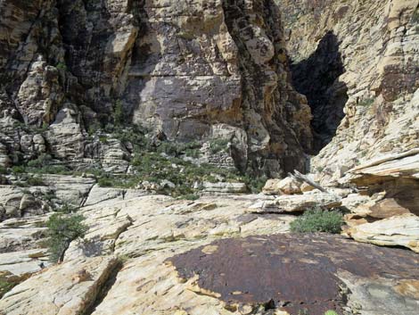 Upper Lost Creek Falls