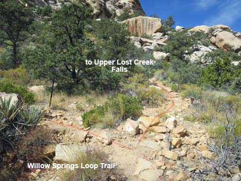 Upper Lost Creek Falls