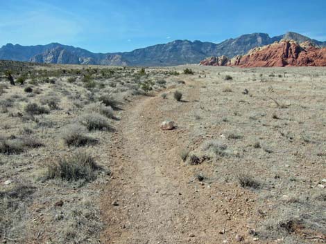 Ride Share Deluxe Loop Trail