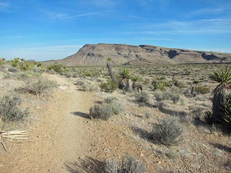 Moenkopi Trail