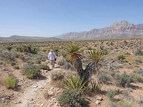 Moenkopi Trail