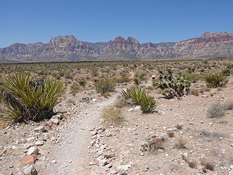 Ride Share Deluxe Loop Trail