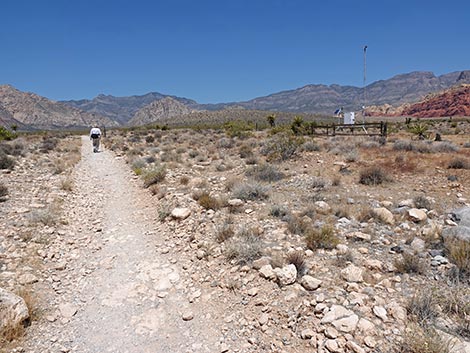 Ride Share Deluxe Loop Trail