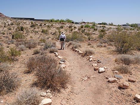 Ride Share Deluxe Loop Trail
