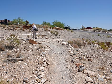 Ride Share Deluxe Loop Trail
