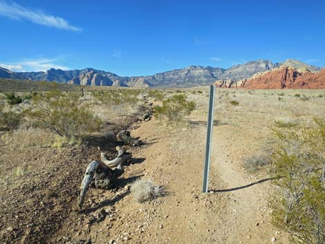 Ride Share Deluxe Loop Trail