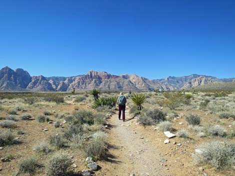 Moenkopi Trail