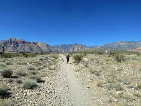 Ride Share Deluxe Loop Trail