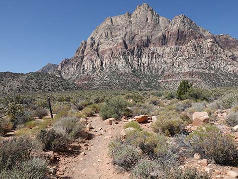 oak creek canyon