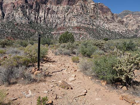 Oak Creek Canyon Trail 