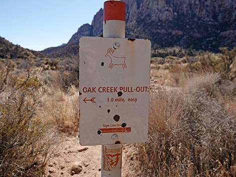 Oak Creek Canyon Trail