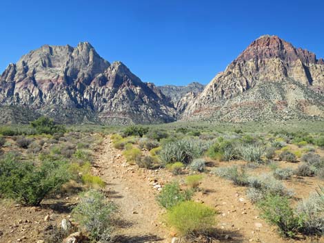 Oak Creek Canyon Trailhead