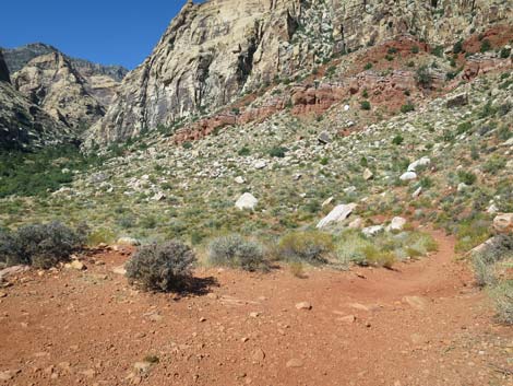 oak creek canyon