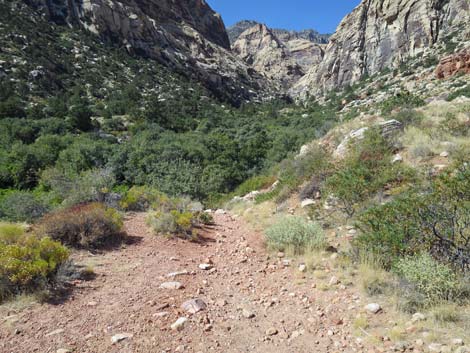 oak creek canyon