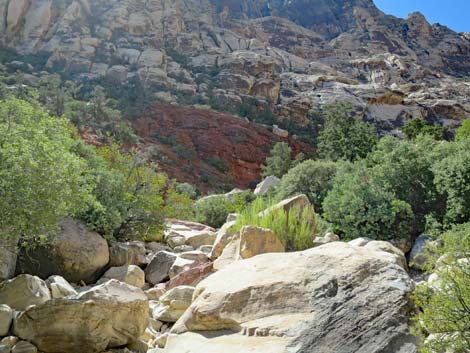 oak creek canyon