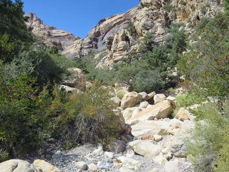 oak creek canyon