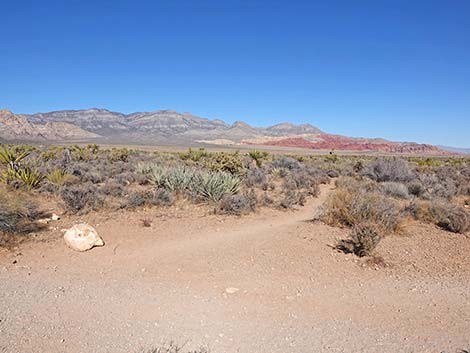 Middle Oak Creek Trail