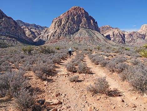 Middle Oak Creek Trail