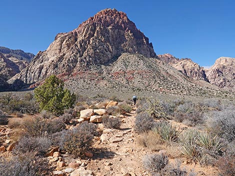 Middle Oak Creek Trail